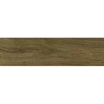 Emotion Ceramics Wild Caoba Porc. 24x88