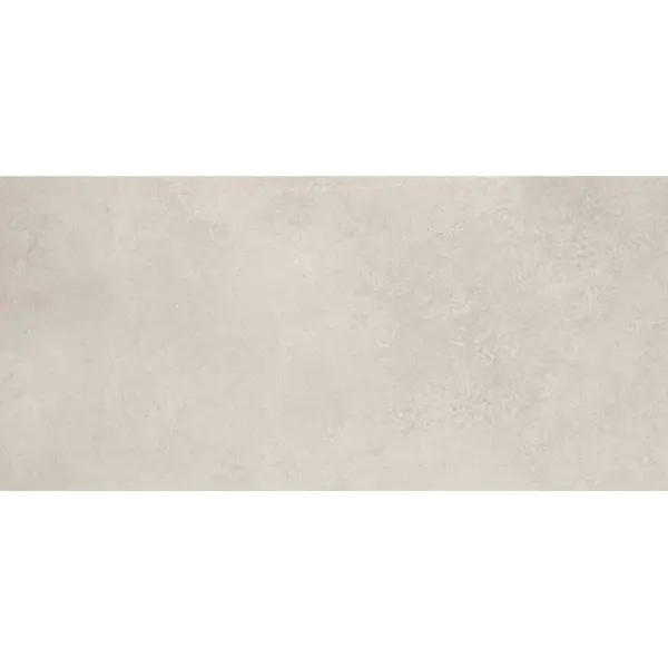 Ariana Plein Air 0016317 Camouflage Ercu Beton R11 Ret 60x120 - керамическая плитка и керамогранит