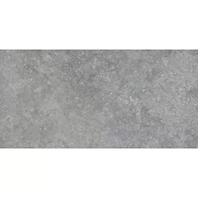Settecento Shellstone 138045 Grey 29,9x60