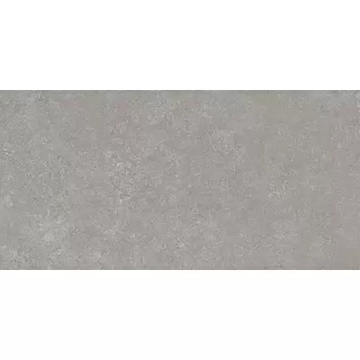 Panaria Prime Stone PZ9PM20 Silver Prime 50x100