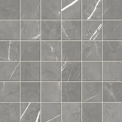 Atlas Concorde Russia Forte Dei Marmi 610110001069 Elegant Grey Nat Rett 30x30