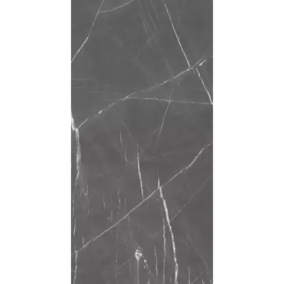 Saime ceramiche Cave 8600209/A Grafite Luc Ret 60x120