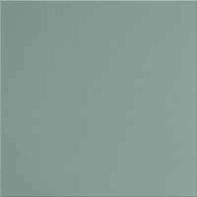 Уральский гранит Моноколор UF029MR Мурена Матовый 60x60