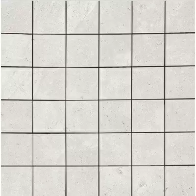 Museum Hettangian Floor D.Hettangian-G/5/EP 29.9x29.9