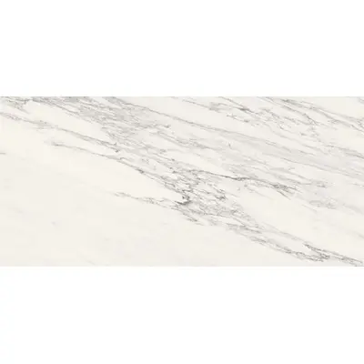 Stone Calacatta SLC.DL.VBNB.LG BOOK 120x260