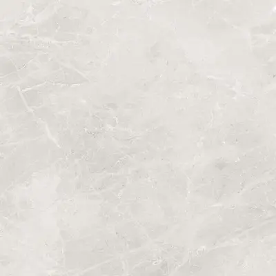 Dako (Керамогранит Дагестан) Liberty E-3014/MR/600x600x9 Светло-серый Матовый Рект 60x60