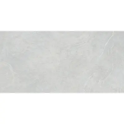 Vives Salerno R Gris 60x120