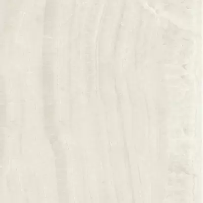 Panaria Trilogy PGWTY20 Onyx Light Lux Rect 60x60