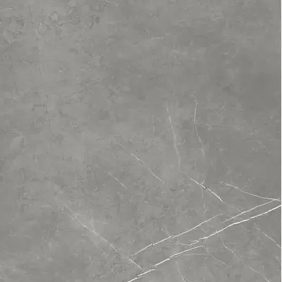 Atlas Concorde Russia Forte Dei Marmi 600010002407 Elegant Grey Matt Rett 120x120 - керамическая плитка и керамогранит