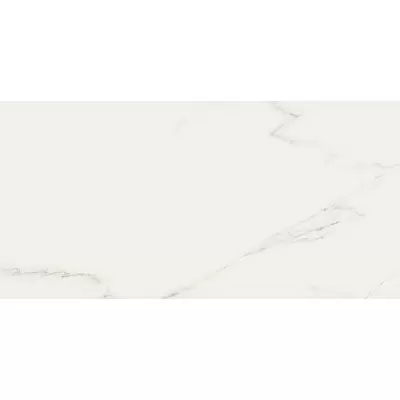 Piemme Valentino Marmi Reali Carrara Levigato 40x80
