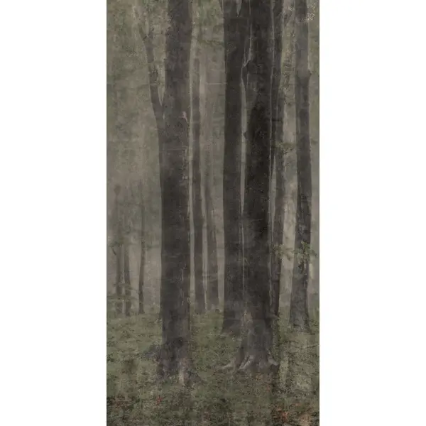 ABK Wide & Style 0007669 Woods 120x240