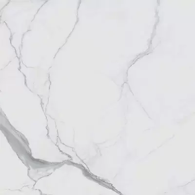 Rex Ceramiche I Classici Di Rex 746590 Statuario Glossy Ret 60x60
