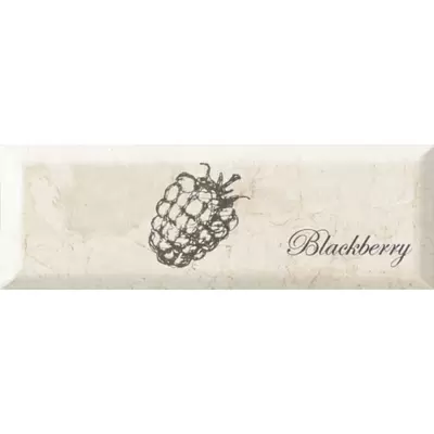 Monopole Ceramica Mistral Blackberry 10x30