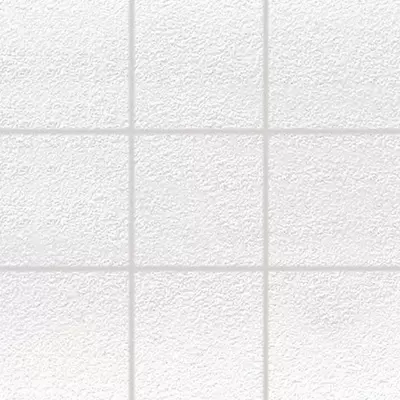 Rako Color One GAF0K023 Белая 30x30