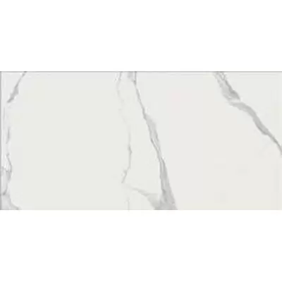 Rex Ceramiche I Classici Di Rex 747661 Statuario Chain C Glossy 120x240