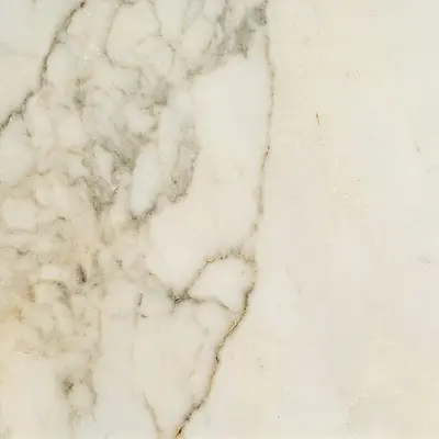 Ceramica Fioranese Prestige M3602R Borghini effect matt 60x60