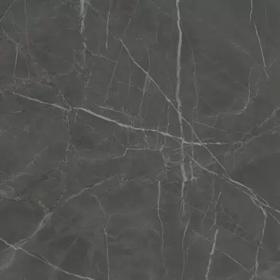 Kerama Marazzi Буонарроти SG642900R Серый темный обрезной 60x60