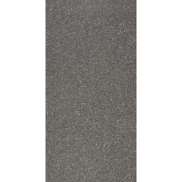 Ariostea Accademia Full Body P612652 Veronese Natural Plus 60x120
