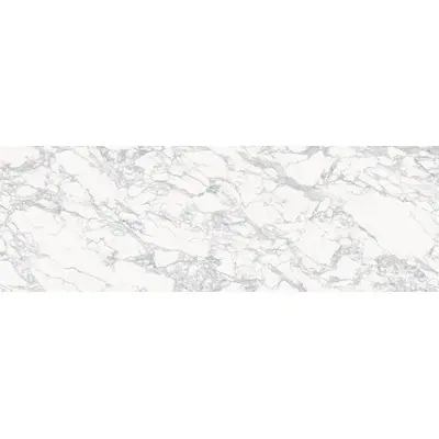 Stone Calacatta Arabescato 100x300