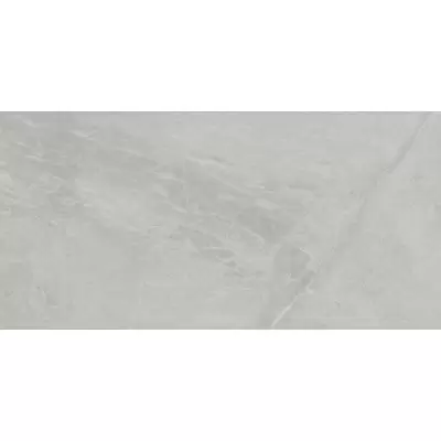 Ariostea Marmi Classici Gris De Savoie Luc Shiny 60x120