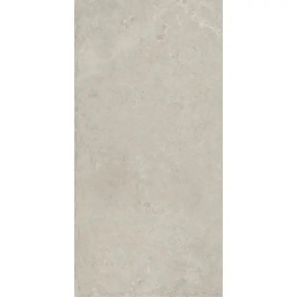 Caesar Histoire AHS6 Reims Liscio Matt 60x120 - керамическая плитка и керамогранит
