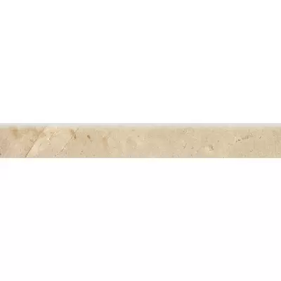 Museum Hettangian Floor R.B/60/EP 8x60