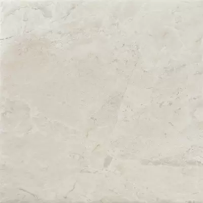 Azulev River Bone 60 60x60