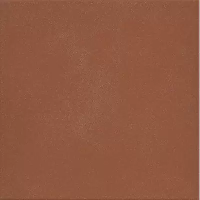 Vives 1900 Rojizo 20x20
