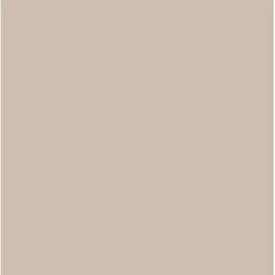 Rako Color One WAA1N008 Бежевая 20x20