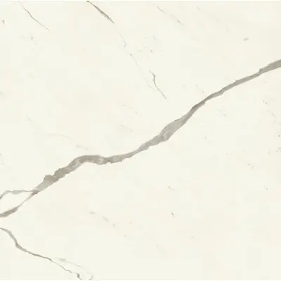 Atlas Concorde Marvel X AFVK Calacatta Sublime Silk 120x120