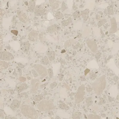 Vives Niza R Beige Pulido 79,3x79,3