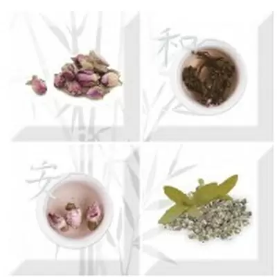 Absolut Keramika Aroma Fosker Decor (composicion) Set S/4 B 10x10