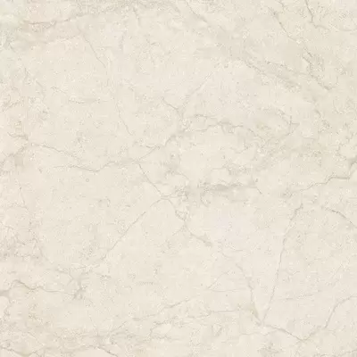 Piemmegres (Piemme Ceramiche) Stone Concept 2504 Luce Nat-Ret 60x60