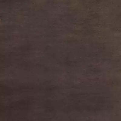 Panaria Aisthesis PGVAS25 Cacao 50x50