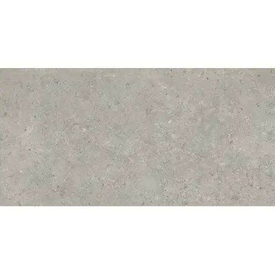 Kerama Marazzi Риккарди SG519920R Серый светлый матовый обрезной 60x119,5