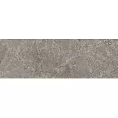Panaria Trilogy PZ7TYX3 Sandy Grey Lux 100x300