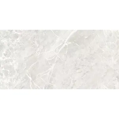 Art Ceramic Extra Silver Mat 60x120