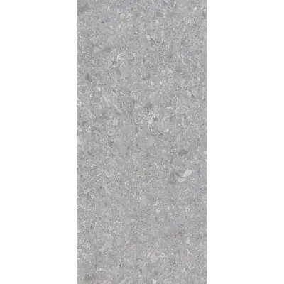 Rak Ceramics Ceppo Di Gre AN12GZCPDG-MGY.M2R Stone Mid Grey Matte Str 60x120