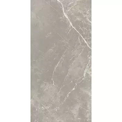 Cerim Ceramiche Elemental Stone 766528 ST Grey Dolomia Luc Ret 60x120
