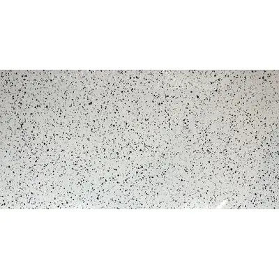 Armano Terazzo Poiish Silver 60x120