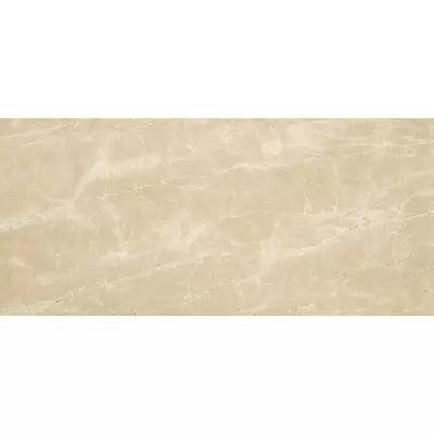 Atlas Concorde Marvel Edge A4SM Elegant Sable 50x120