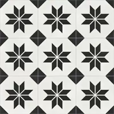 Aparici Vienna 8431940385902 Belvedere Natural 59.2x59.2