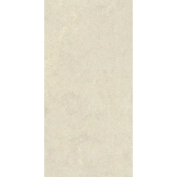 Lea Ceramiche Intense LGXIN0L Clair lapp rett 60x120