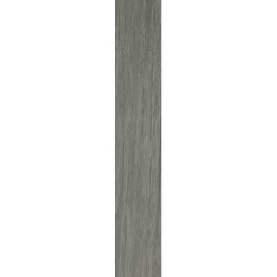 Casalgrande Padana Metalwood 7010095 Argento Naturale 10x60