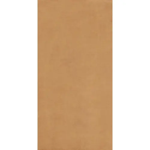 Ariostea Balance IGP62579 Orange Natural Plus 60x120