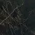 Versace Marble 240013 Nero Saint Laurent Lap. 58.5x58.5
