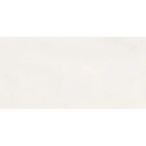 Ergon Pigmento ELPW Perla Silktech Plus R11 Ret 60x120