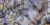 Crystal Iris Crystal Iris
