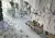 Provenza Unique Marble EL5M Resin Lappato Rett 120x278