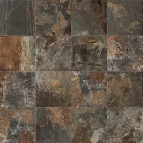 Century Geology 128215 Fossil Grip 50x50